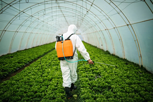 Reliable Taylor Creek, FL Pest Control Solutions
