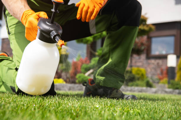 Best Pest Prevention Services  in Taylor Creek, FL