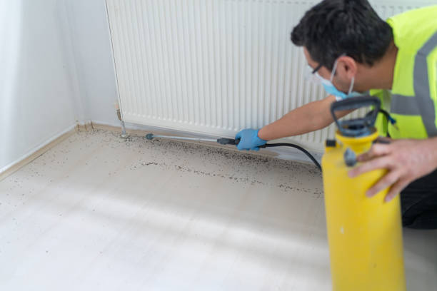 Best Best Pest Control Near Me  in Taylor Creek, FL
