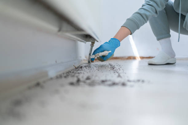 Best Residential Pest Control  in Taylor Creek, FL